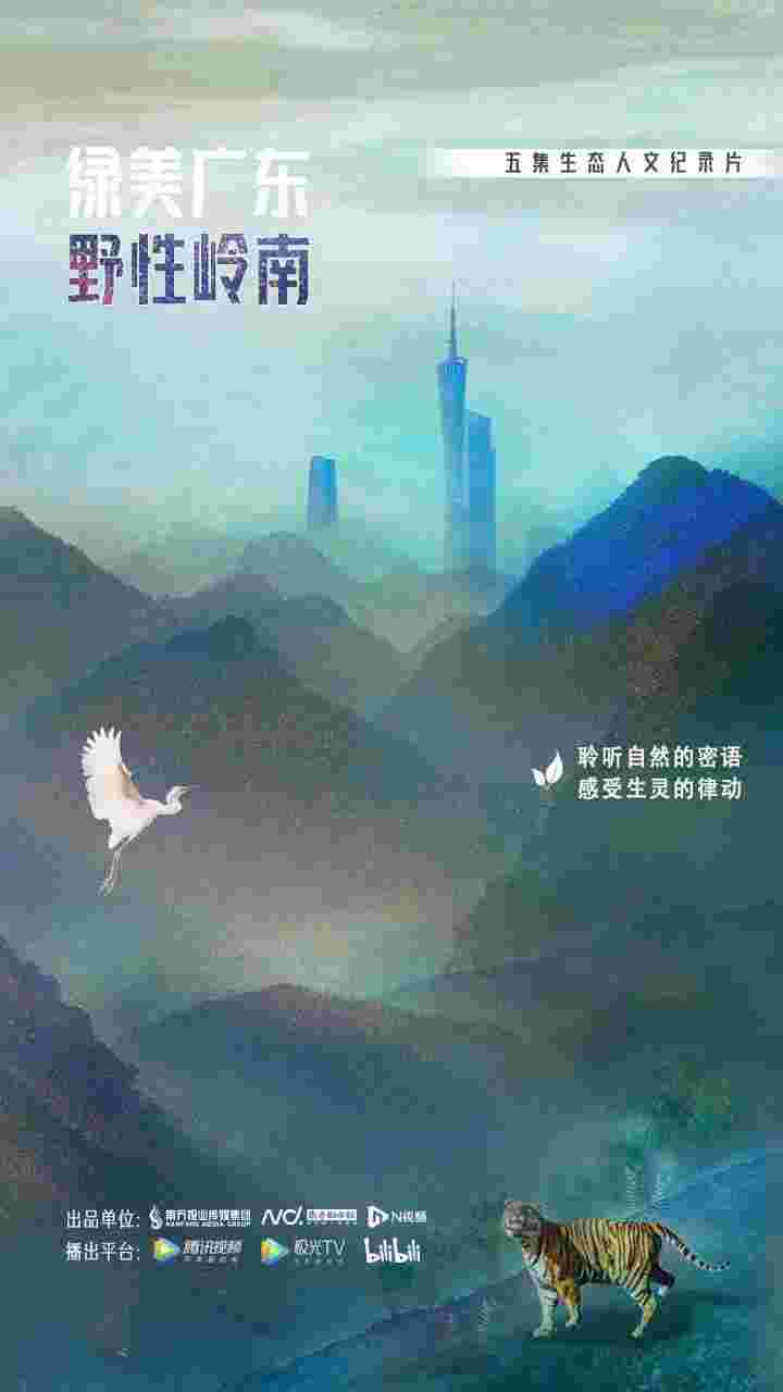 封面图片
