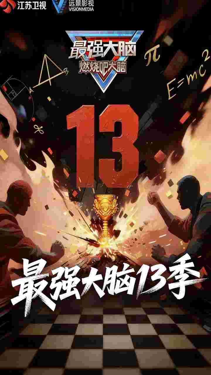 最强大脑 第十三季