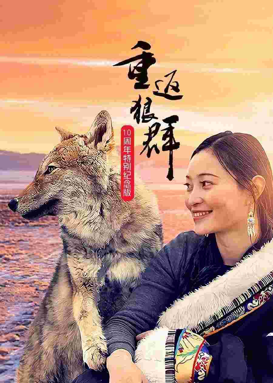 封面图片