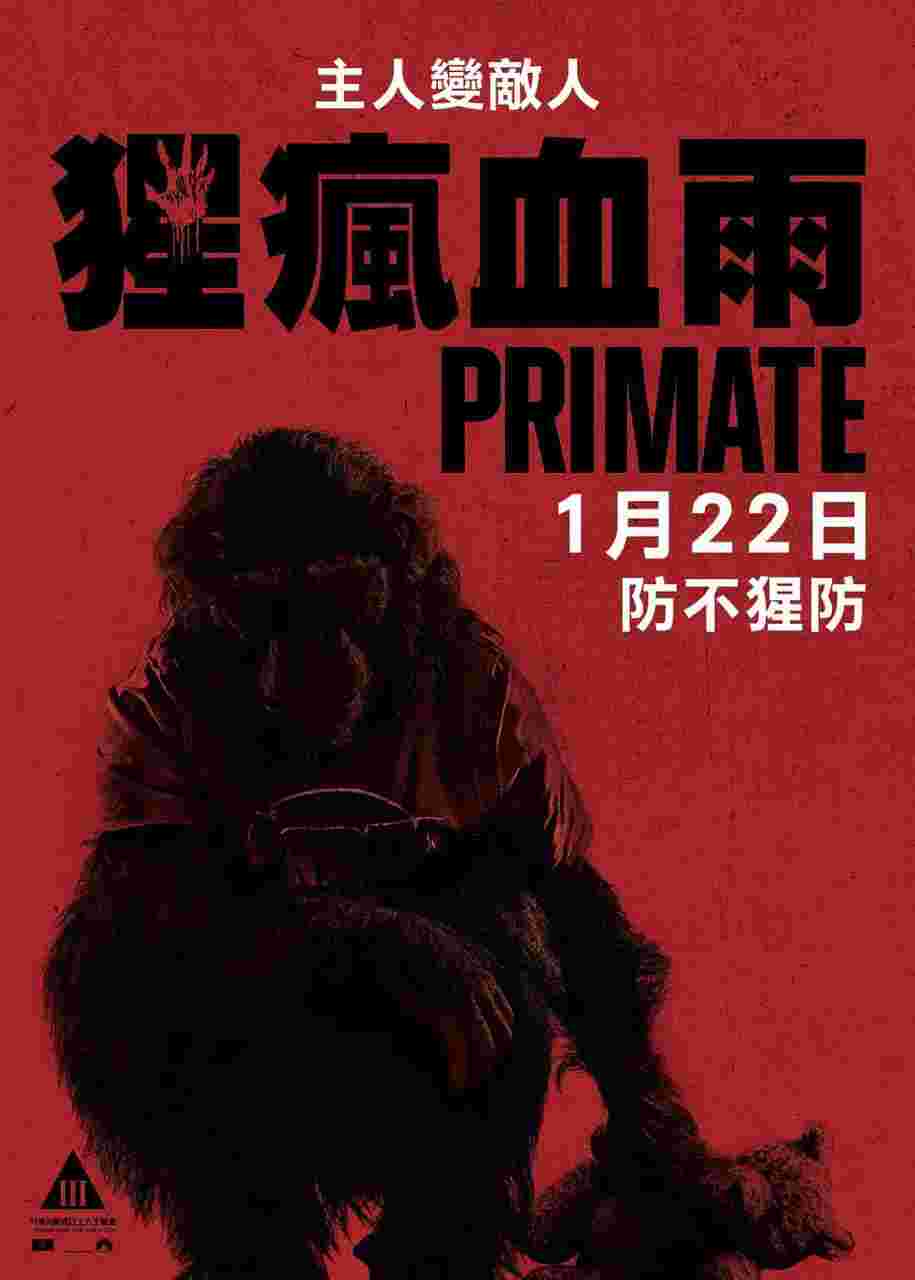 封面图片