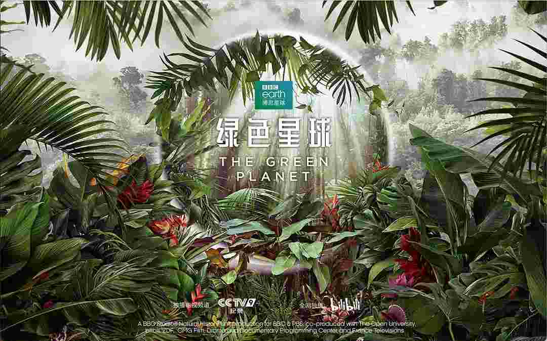 封面图片