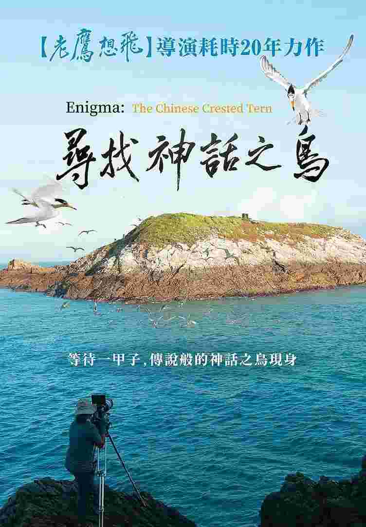 封面图片