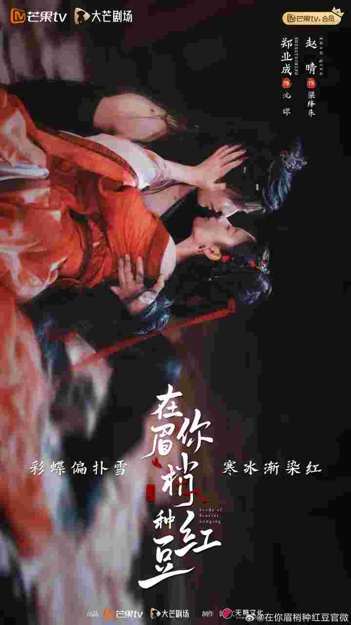 在你眉梢种红豆