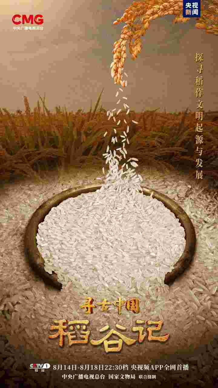 寻古中国·稻谷记