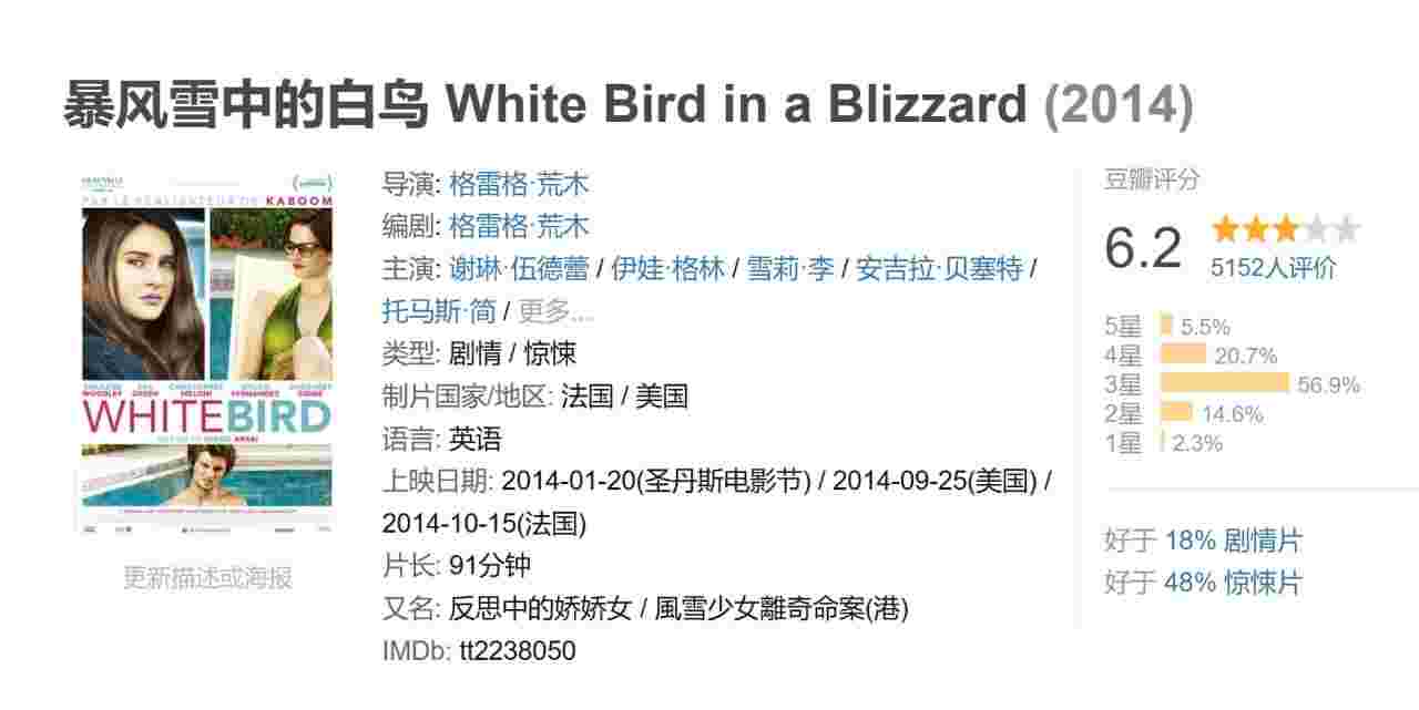 暴风雪中的白鸟