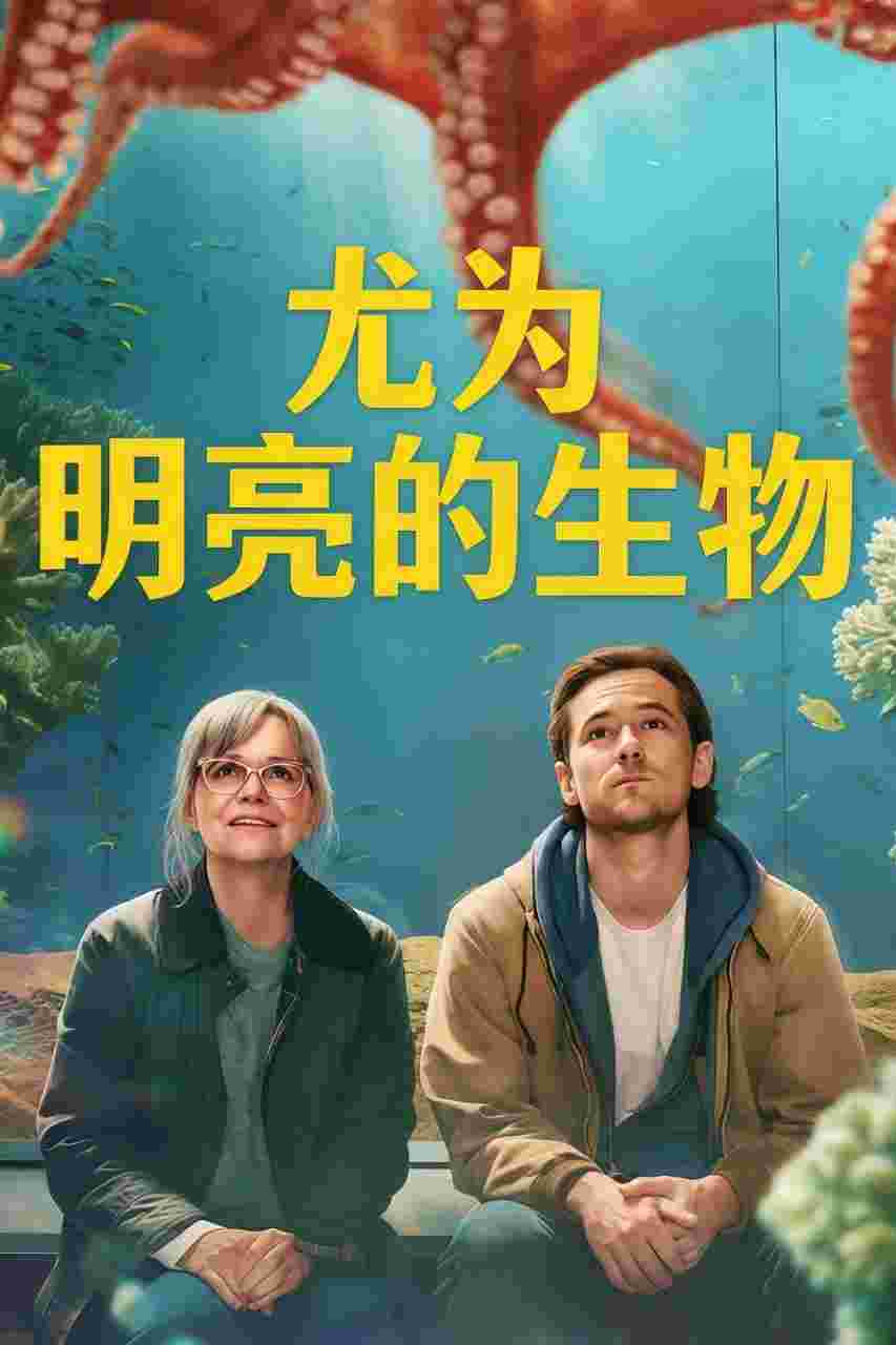 封面图片