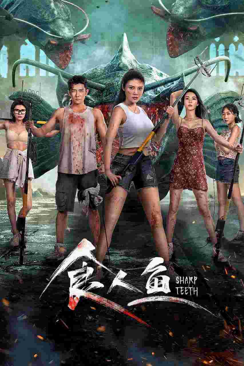 封面图片