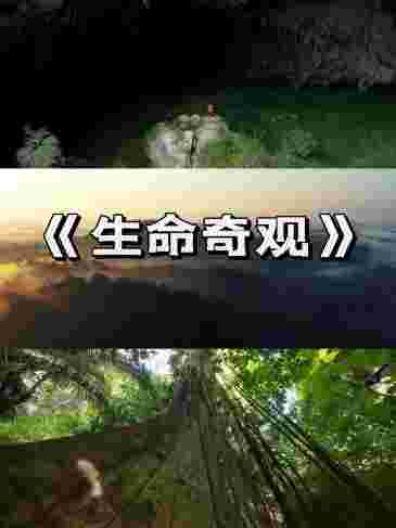 封面图片