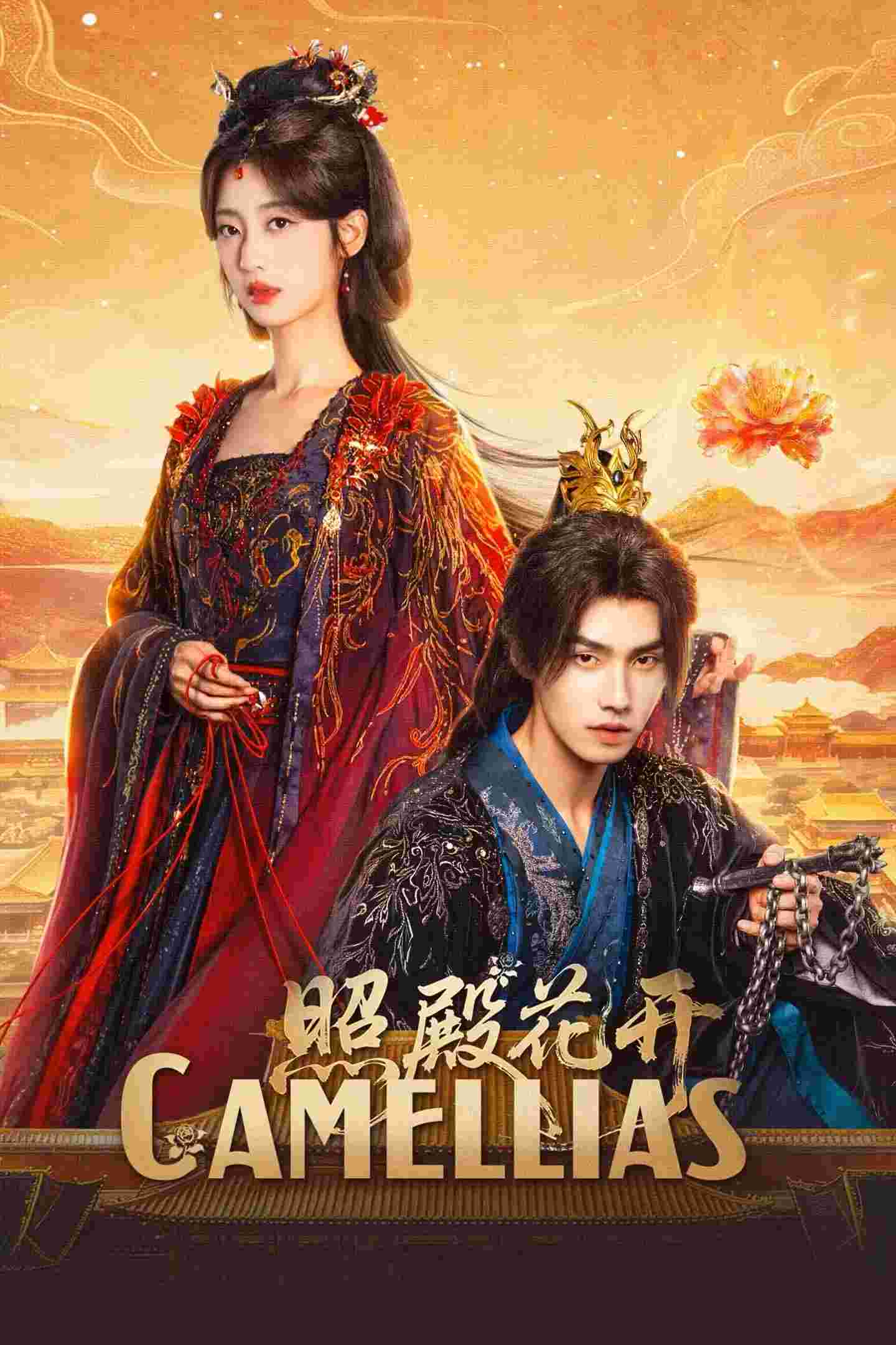 封面图片