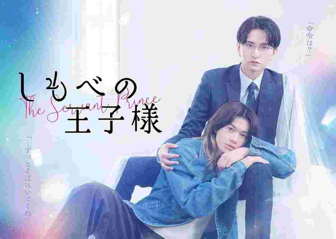 仆人的王子殿下