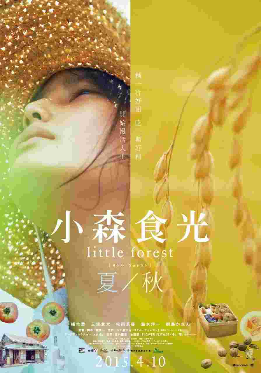 封面图片