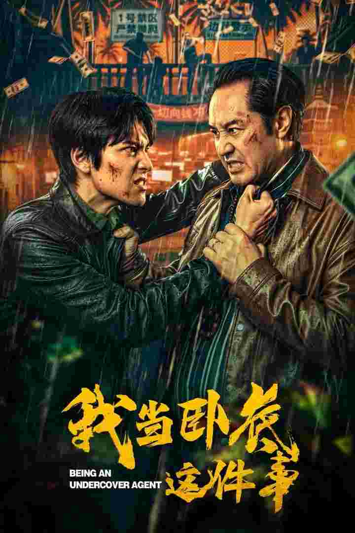 我当卧底这件事