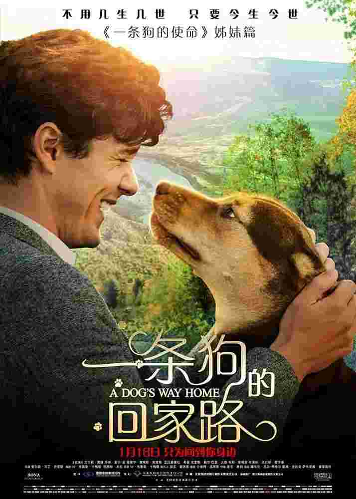 封面图片