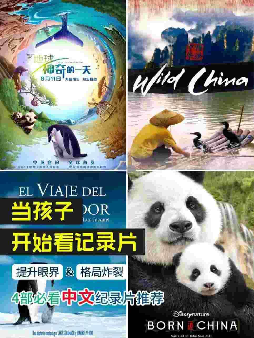 地球：神奇的一天
