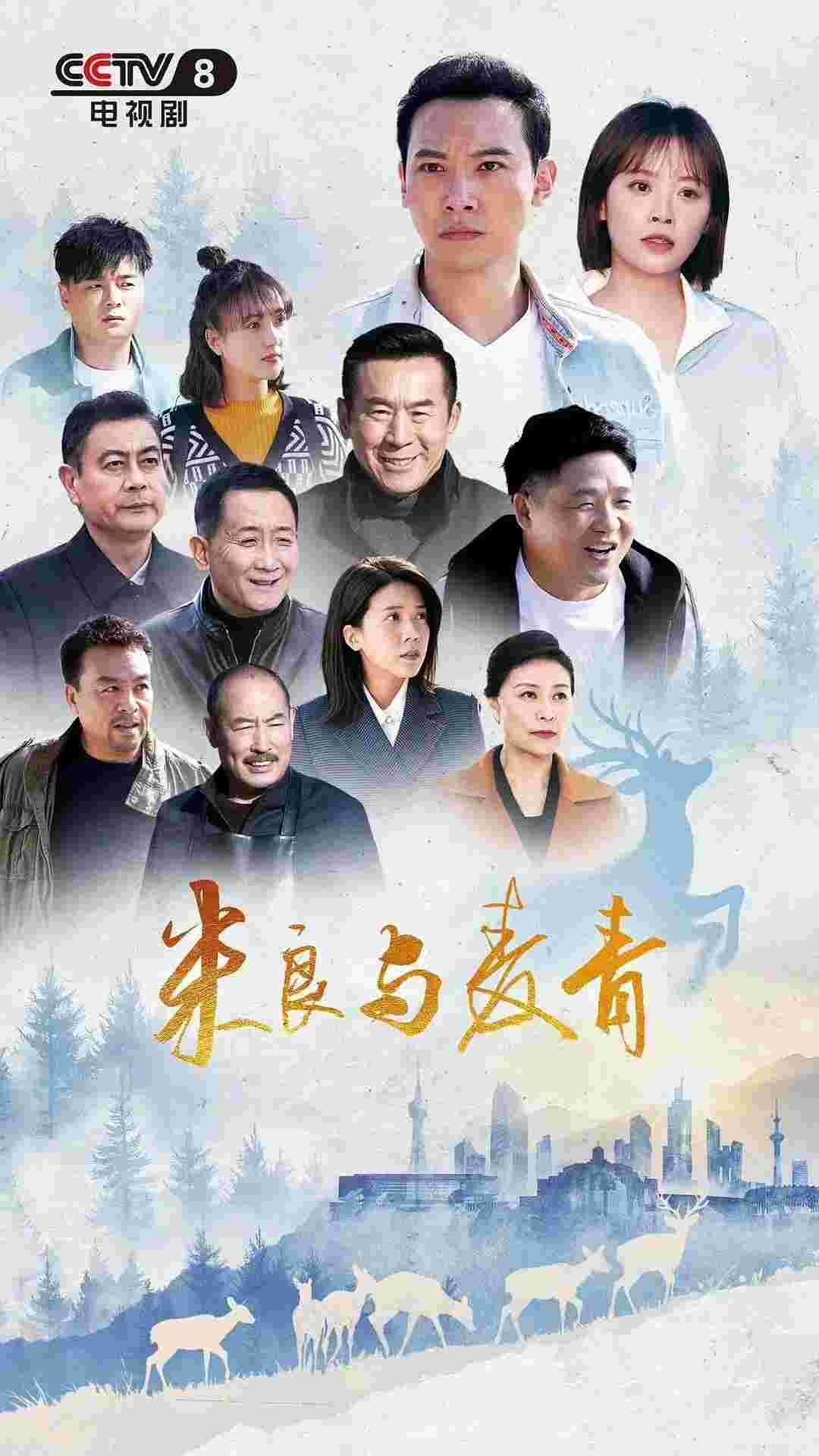 封面图片