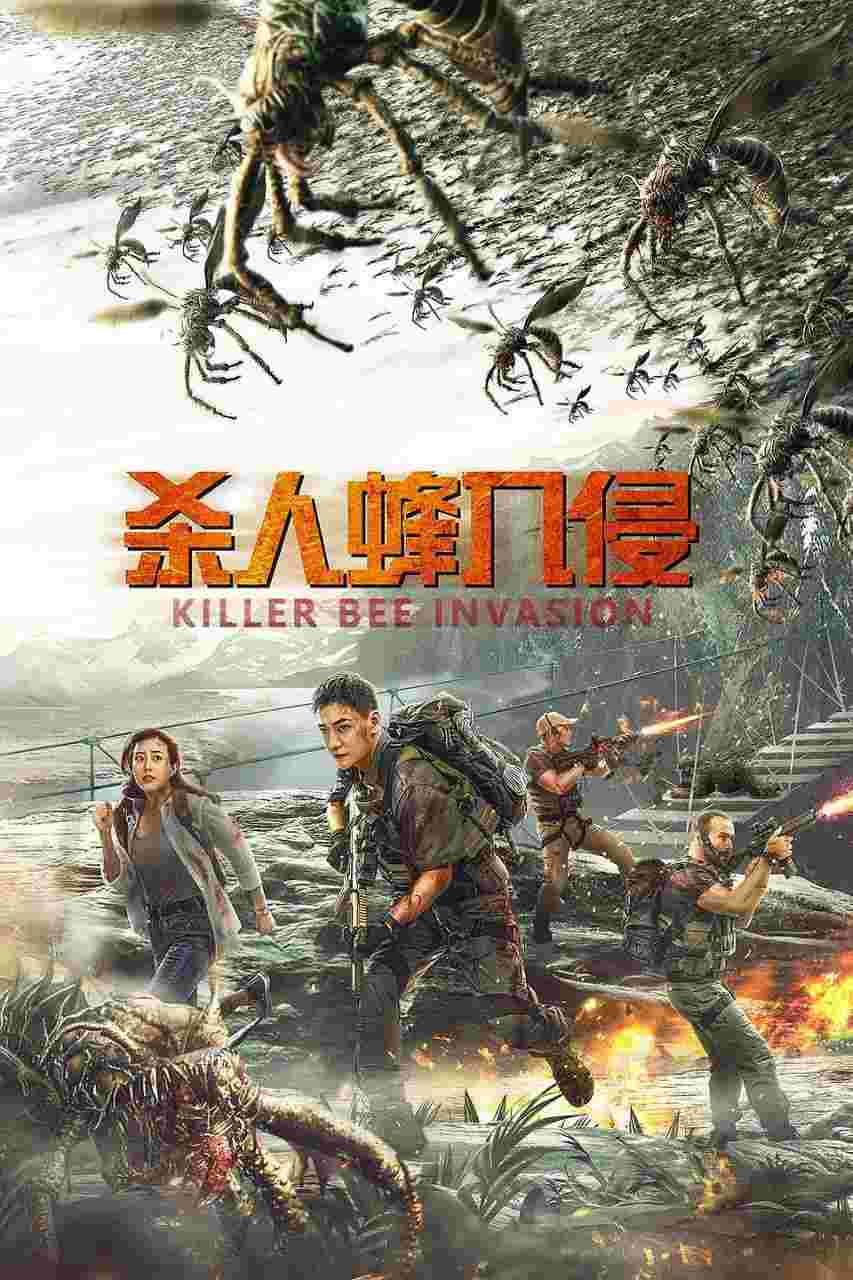 封面图片