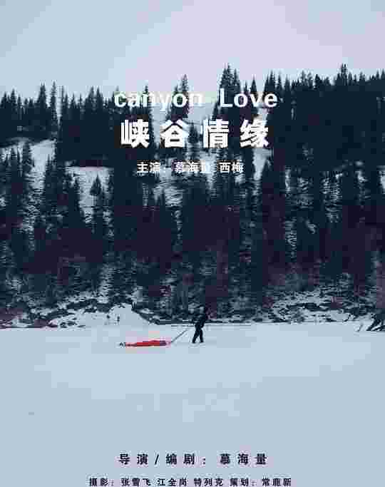 封面图片