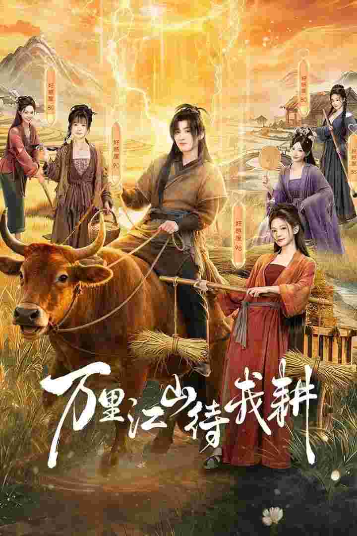 封面图片