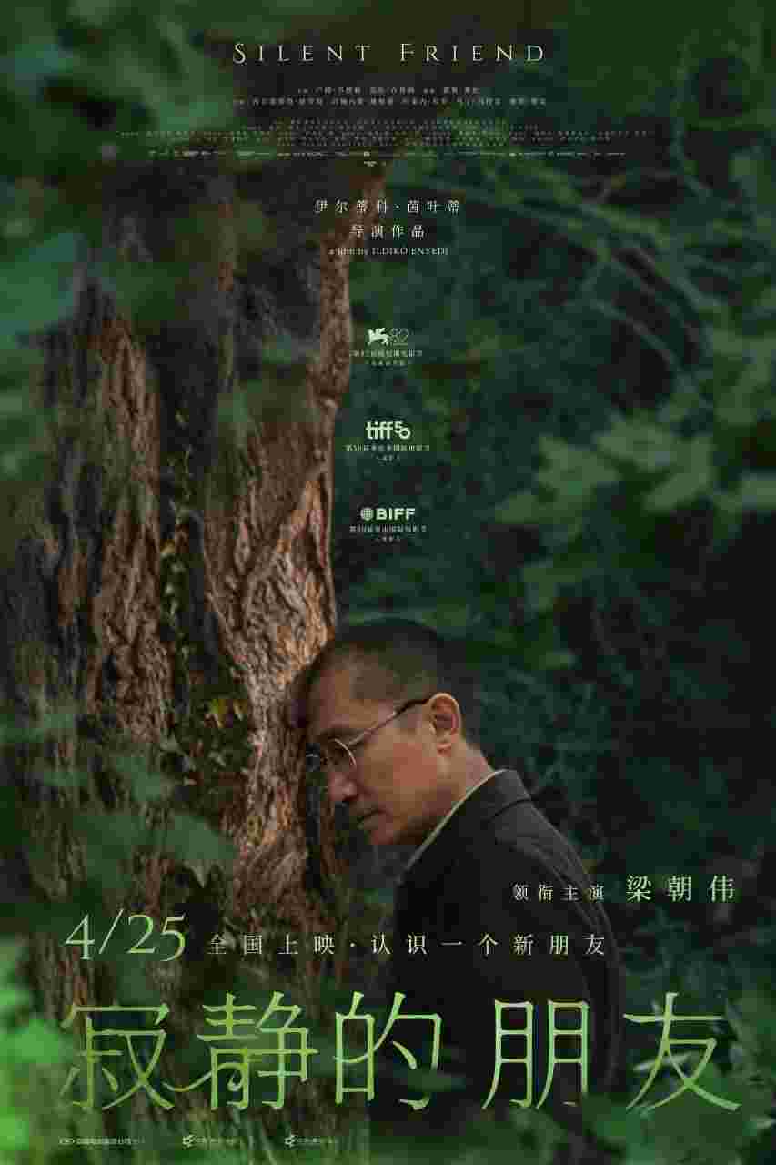 寂静的朋友