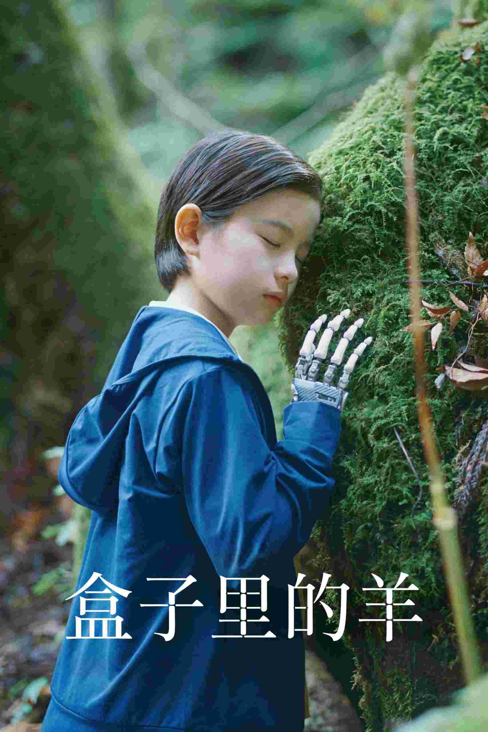 封面图片