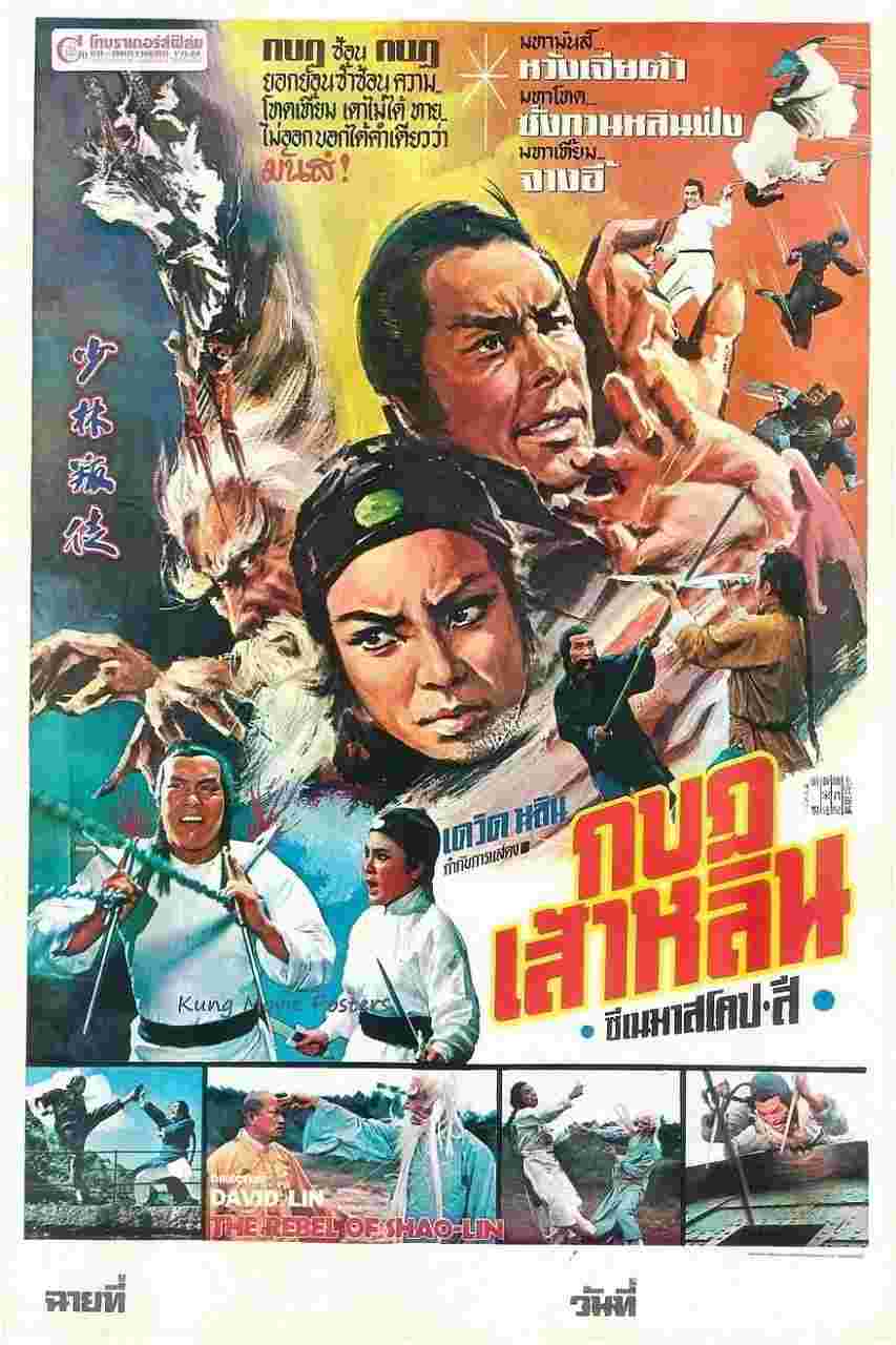 封面图片