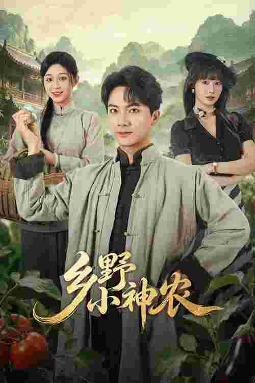 封面图片