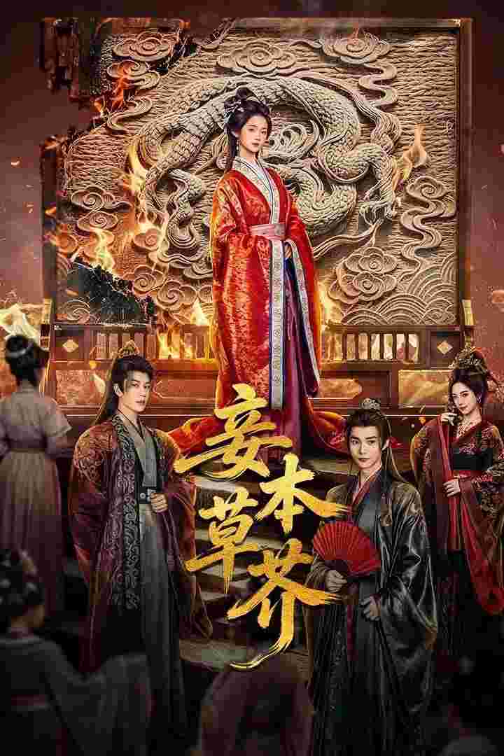 封面图片