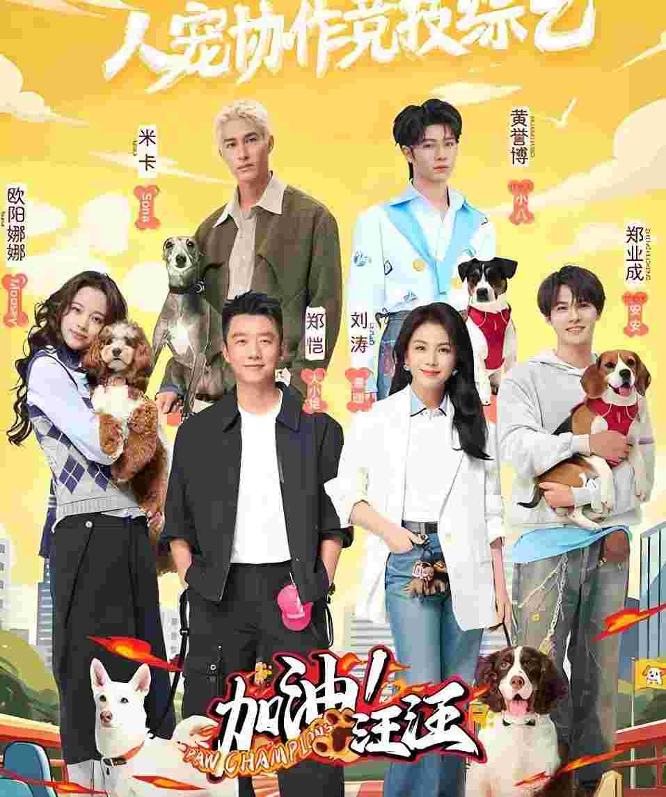 封面图片